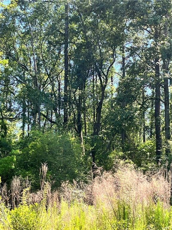 29386 Farwell Dr, Lacombe, LA 70445 - photo 5