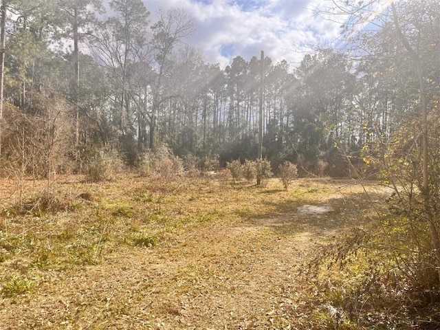29386 Farwell Dr, Lacombe, LA 70445 - photo 9