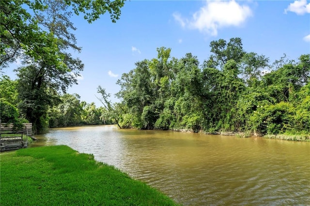 10152 Lawrence Rd, Hammond, LA 70403 - water view with a heavily wooded area