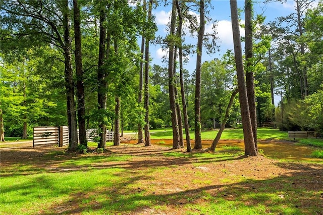 10152 Lawrence Rd, Hammond, LA 70403 - view of yard
