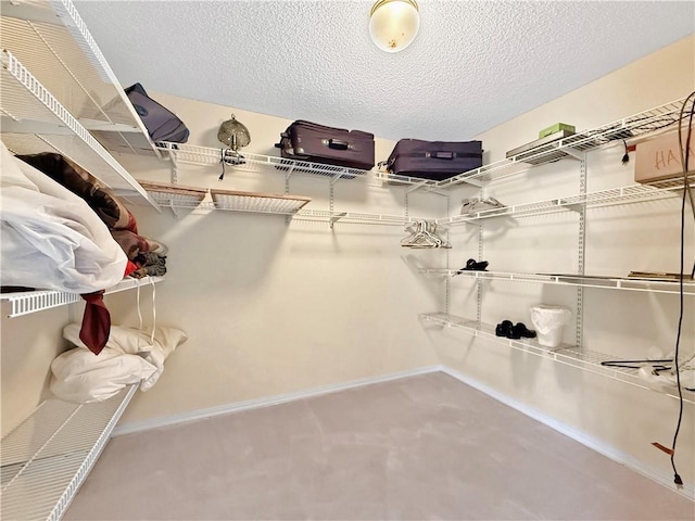 20 Sunset Ln, Carriere, MS 39426 - view of spacious closet