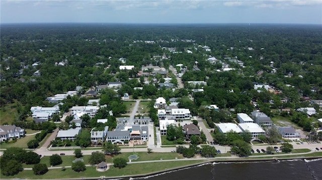 124 Lafitte St, Mandeville, LA 70448 - photo 43