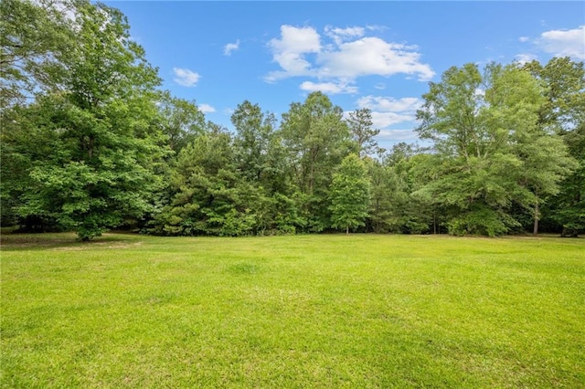 47261 Eldridge Magee Rd, Franklinton, LA 70438 - view of green lawn featuring a view of trees
