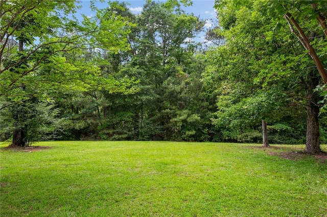 47261 Eldridge Magee Rd, Franklinton, LA 70438 - view of green lawn featuring a view of trees