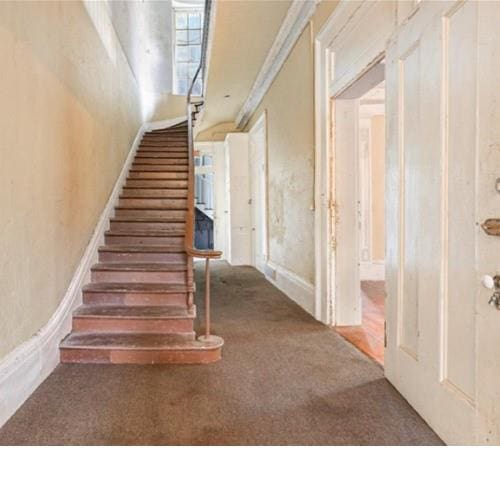 908-10 Esplanade Ave, New Orleans, LA 70116 - staircase featuring carpet floors