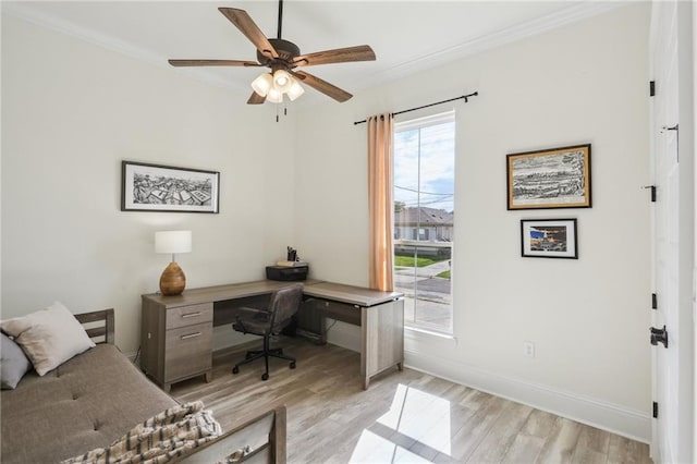 5317 Warrington Dr, New Orleans, LA 70122 - home office with light wood-type flooring, a ceiling fan, crown molding, and baseboards