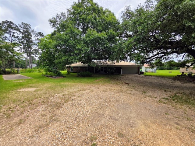 46282 Morris Rd, Hammond, LA 70401 - view of green lawn with a carport and driveway