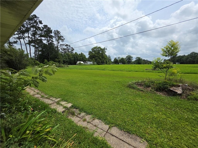 46282 Morris Rd, Hammond, LA 70401 - view of yard