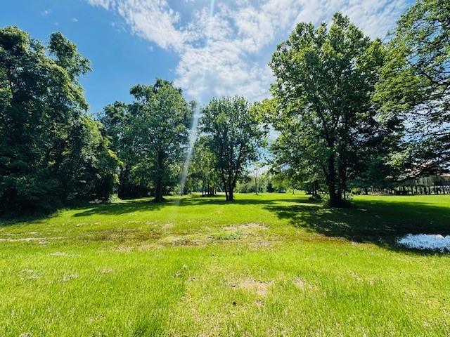 313678 S River Rd, Angie, LA 70426 - photo 5