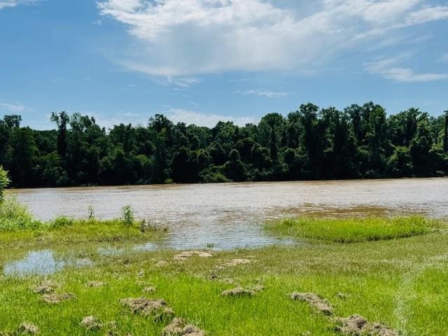 313678 S River Rd, Angie, LA 70426 - photo 22