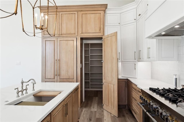 1001 Helios Ave, Metairie, LA 70005 - kitchen featuring a sink, custom range hood, light countertops, wood finished floors, and a chandelier