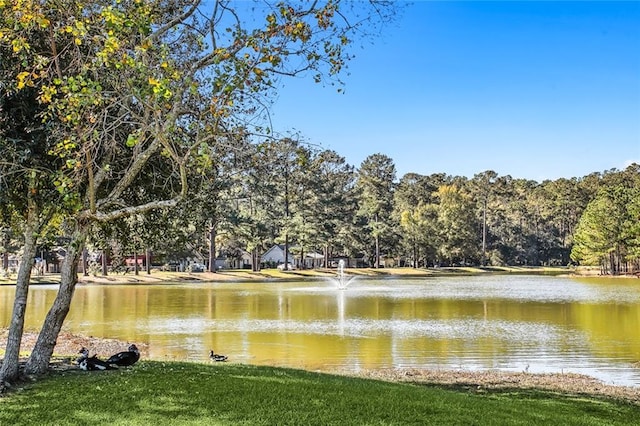130 Palm Beach Blvd, Madisonville, LA 70447 - photo 23