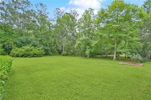 505 Hermitage Ct, Pearl River, LA 70452 - view of green lawn
