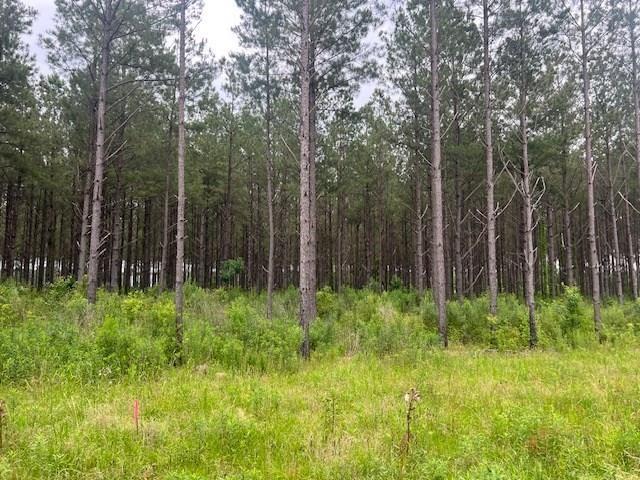 2423B E Lincoln Rd, Brookhaven, MS 39601