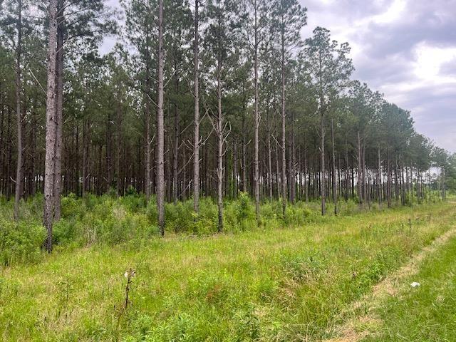 2423B E Lincoln Rd, Brookhaven, MS 39601