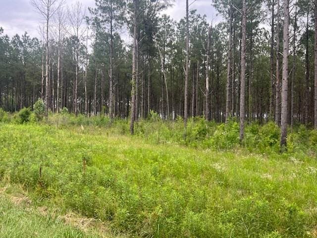 2423B E Lincoln Rd, Brookhaven, MS 39601