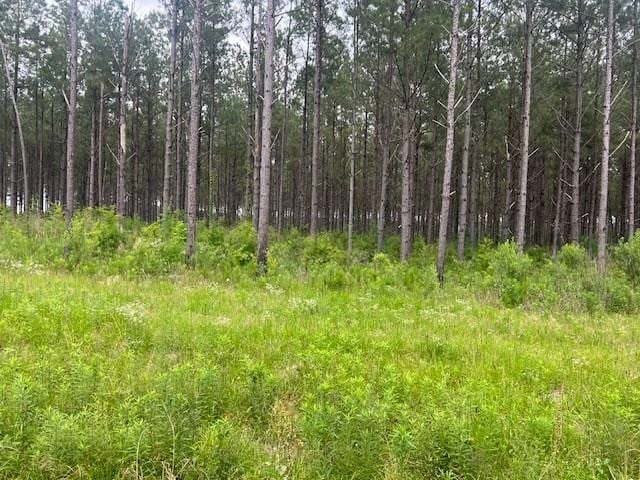 2423B E Lincoln Rd, Brookhaven, MS 39601