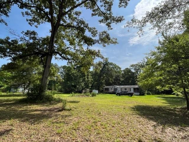 36241CENTRALAVENUE Central Ave, Pearl River, LA 70452 - view of grassy yard