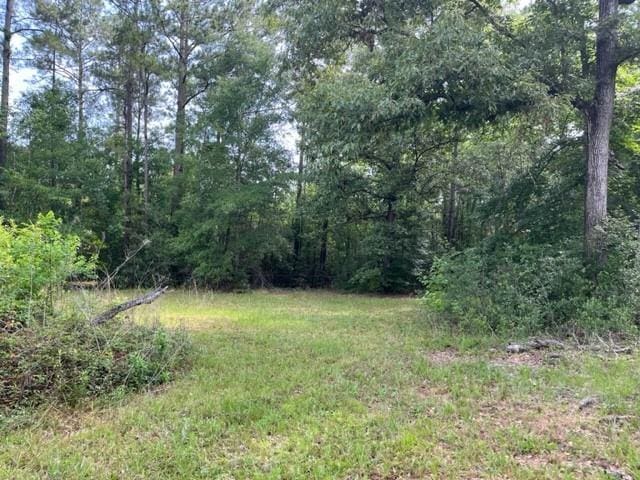 36241CENTRALAVENUE Central Ave, Pearl River, LA 70452 - view of woods