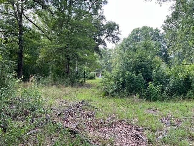 36241CENTRALAVENUE Central Ave, Pearl River, LA 70452 - view of wooded area