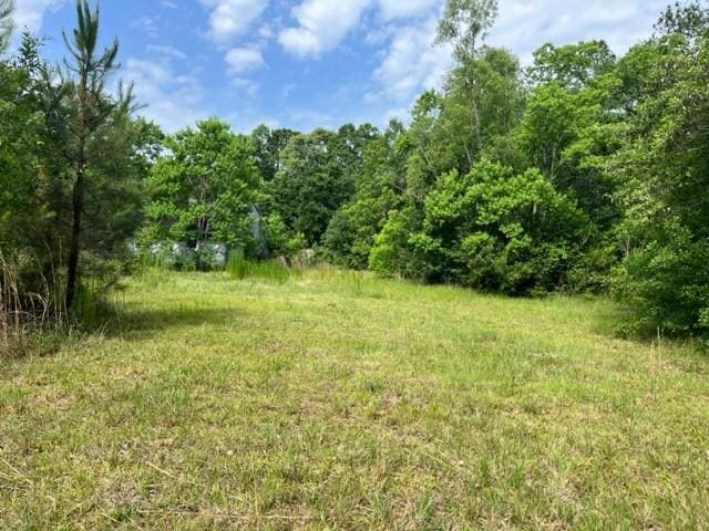 36241CENTRALAVENUE Central Ave, Pearl River, LA 70452 - view of tree filled area