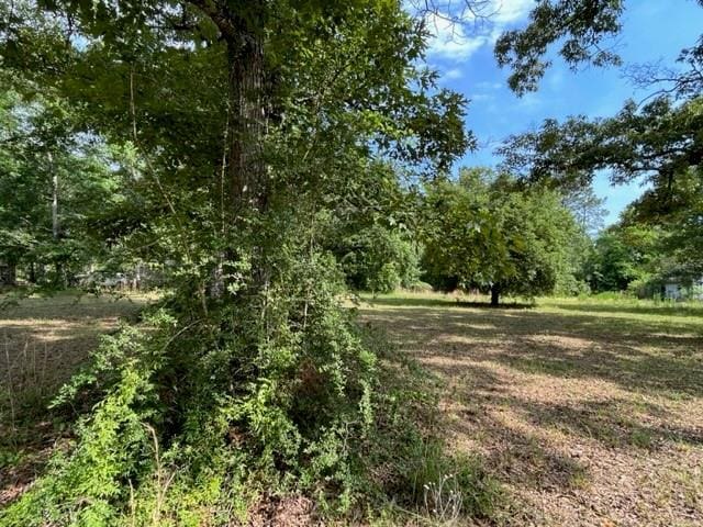 36241CENTRALAVENUE Central Ave, Pearl River, LA 70452 - view of nature