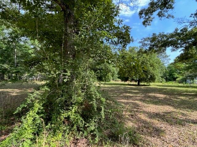 36241CENTRALAVENUE Central Ave, Pearl River, LA 70452 - photo 31