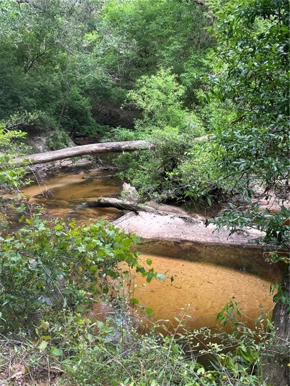 52116 Thigpen Rd, Franklinton, LA 70438