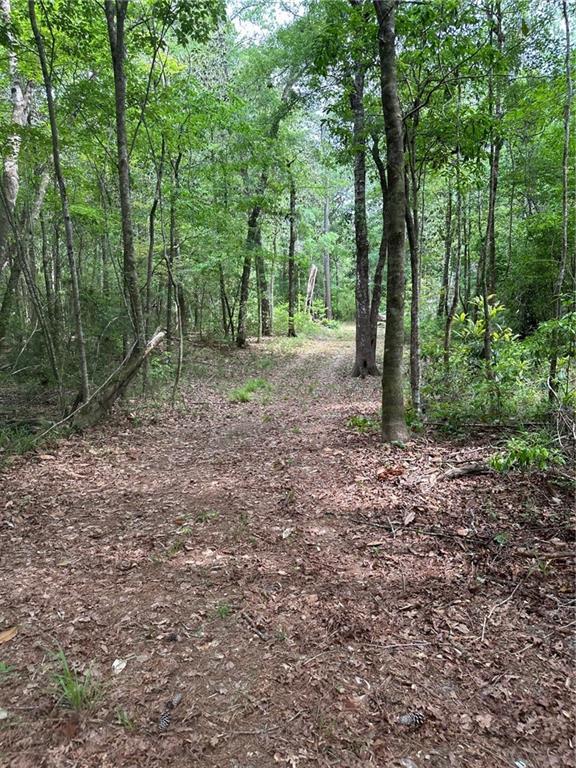 52116 Thigpen Rd, Franklinton, LA 70438 - photo 13
