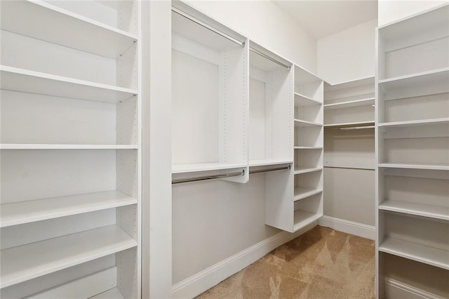 47075 Weald Way, Hammond, LA 70401 - walk in closet with carpet flooring