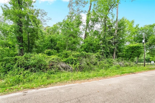 27044 Lucille Dr, Lacombe, LA 70445 - view of asphalt street