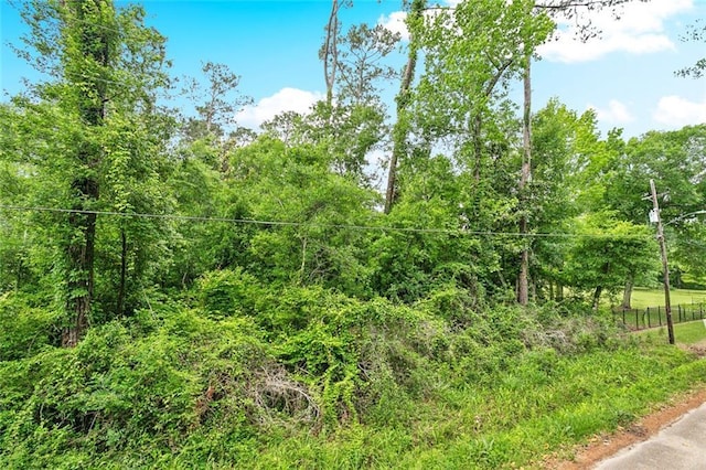 27044 Lucille Dr, Lacombe, LA 70445 - view of tree filled area