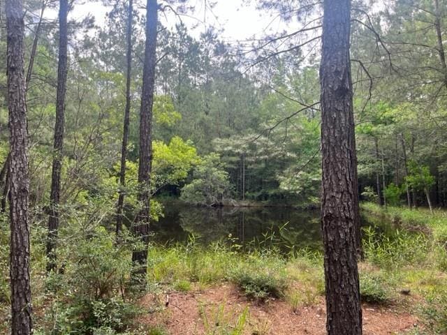 13050 Boyd Rd, Covington, LA 70435