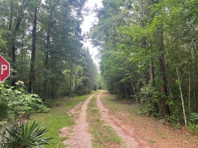 13050 Boyd Rd, Covington, LA 70435