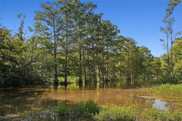114 Kendrick Dr, Slidell, LA 70461 - view of tree filled area with a water view