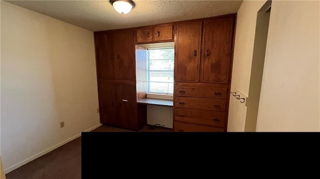 365 Cottage Ct, La Place, LA 70068 - unfurnished office with a textured ceiling, carpet flooring, baseboards, and built in study area