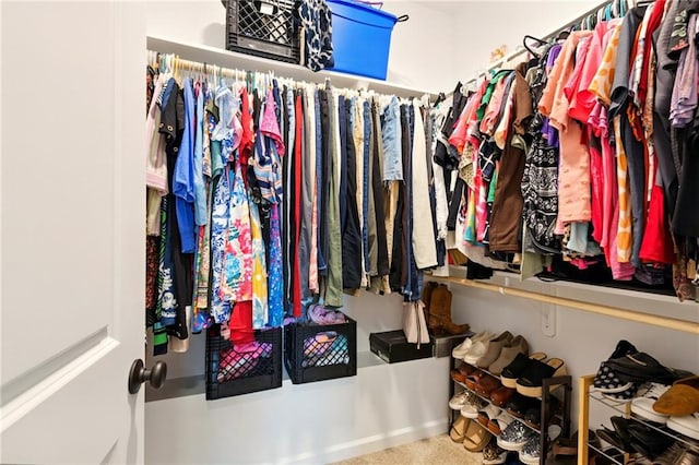 23406 Ruger Dr, Denham Springs, LA 70726 - view of spacious closet