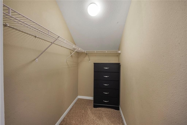 4000 Lake Beau Pre Blvd Unit 100, Baton Rouge, LA 70820 - walk in closet with carpet and lofted ceiling