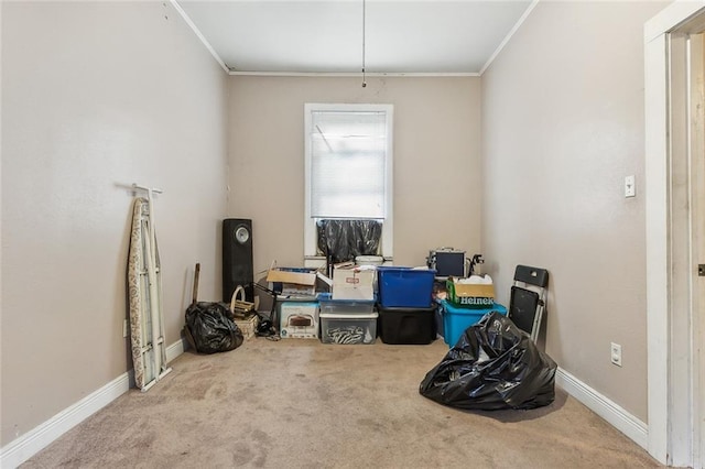 925 N Prieur St, New Orleans, LA 70116 - empty room with ornamental molding, carpet floors, baseboards, and an office area
