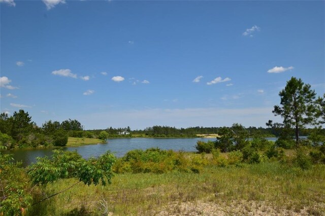 52364 Shore Dr, Franklinton, LA 70438 - photo 21