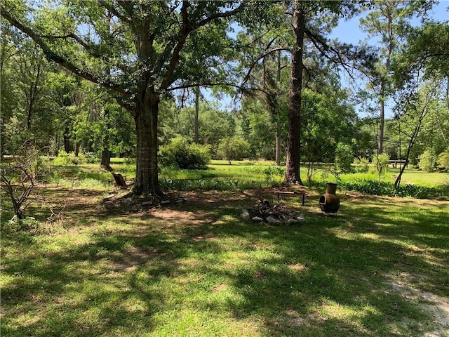 26203 Dove St, Ponchatoula, LA 70454 - view of green lawn