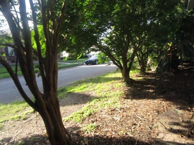 6561 Catina St, New Orleans, LA 70124 - view of asphalt street