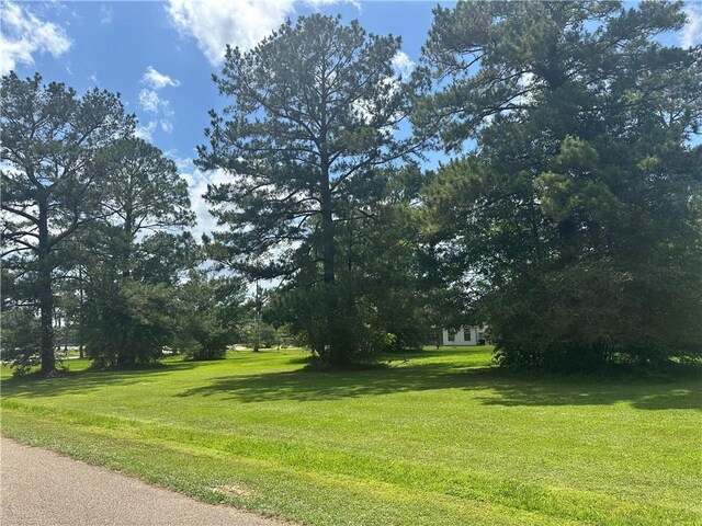 Northwoods Dr, Abita Springs, LA 70420 - photo 2