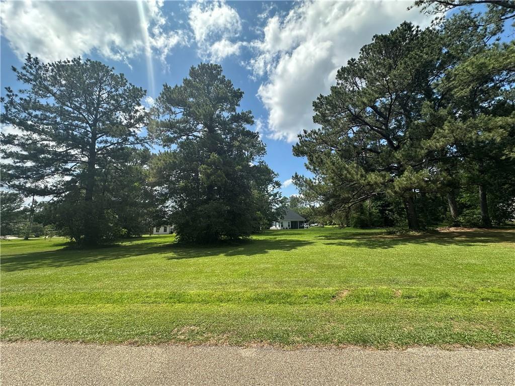 Northwoods Dr, Abita Springs, LA 70420 - photo 3