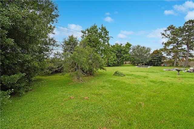 109 Norton Ave, Arabi, LA 70032 - view of grassy yard