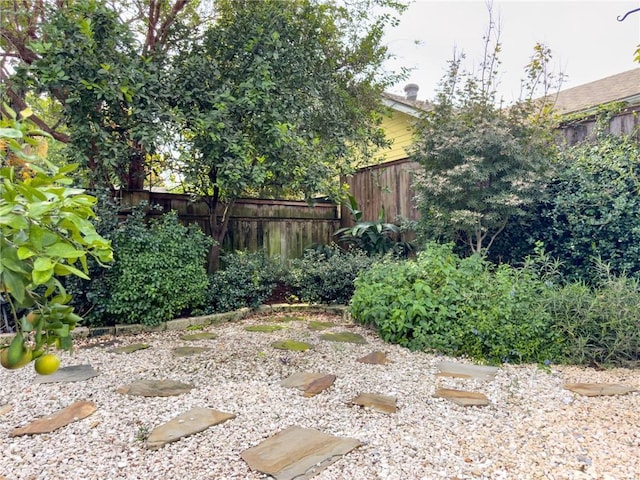 2508 Joseph St, New Orleans, LA 70115 - view of yard