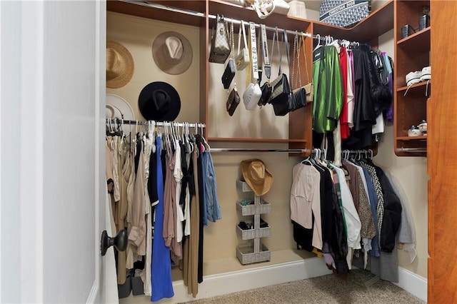 103 Lac Cypriere Dr, Luling, LA 70070 - walk in closet with carpet floors