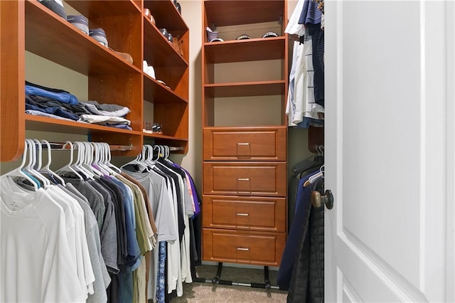 103 Lac Cypriere Dr, Luling, LA 70070 - spacious closet featuring carpet