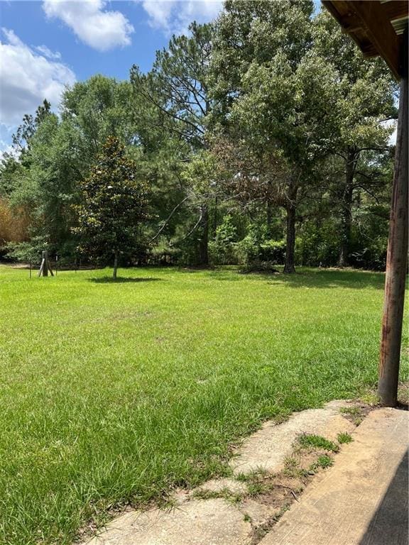 42984 River Birch Ln, Franklinton, LA 70438 - view of green lawn