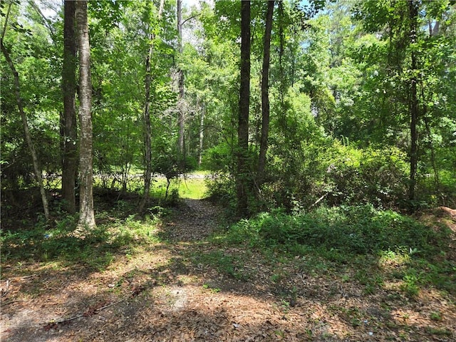 E 5th St, Covington, LA 70433